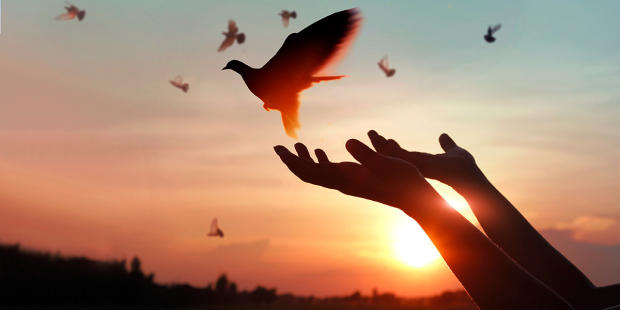 web3-dove-peace-holy-spirit-person-hands-pray-shutterstock_1231907107