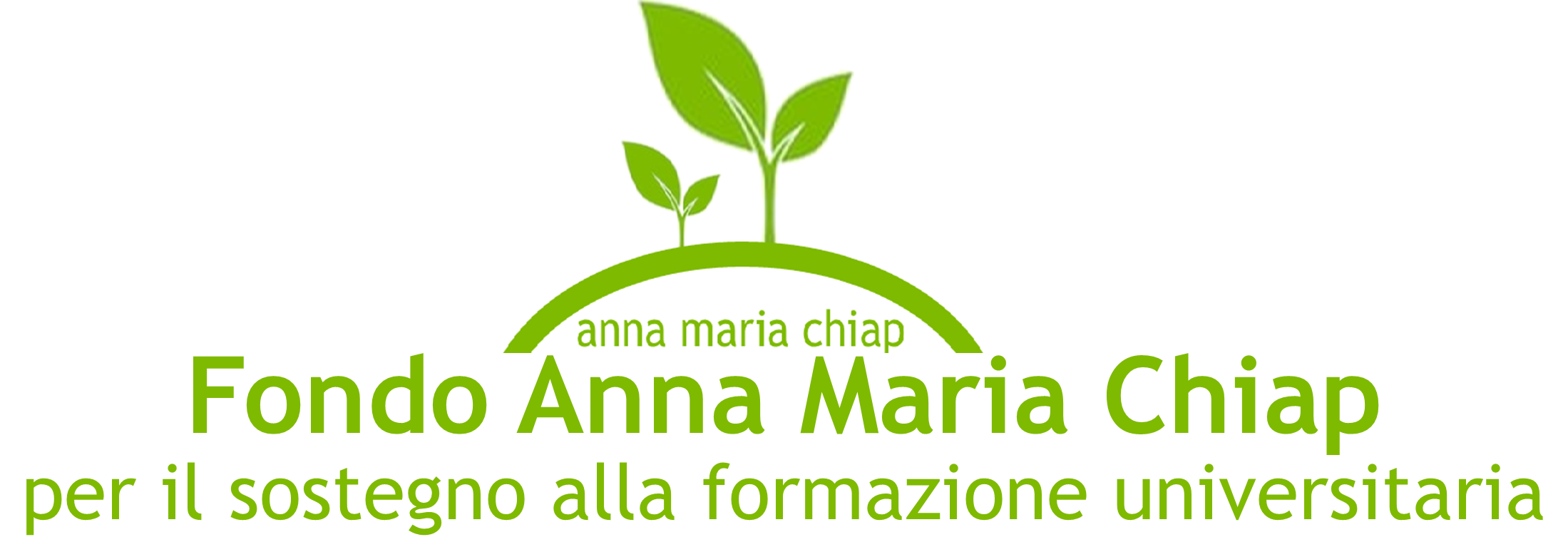 Fondo Anna Maria Chiap per il sostegno alla formazione universitaria